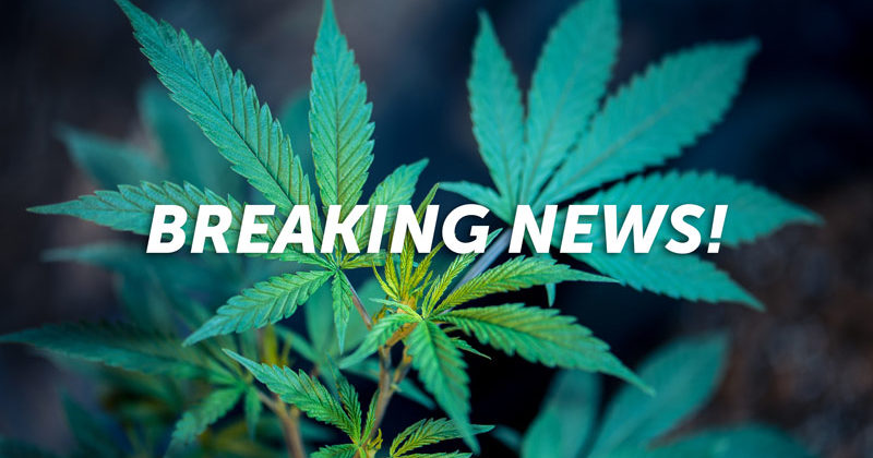 Breaking News Update: President signs Farm Bill, legalizing industrial hemp